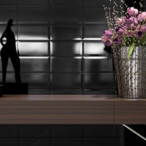 Revestimento de fachada preto 10X20 Ceral